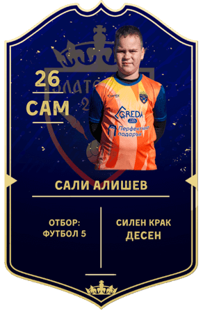 Сали Алишев